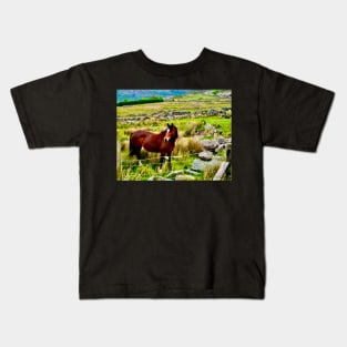 A horse stands in a field in the Welsh mountains Kids T-Shirt